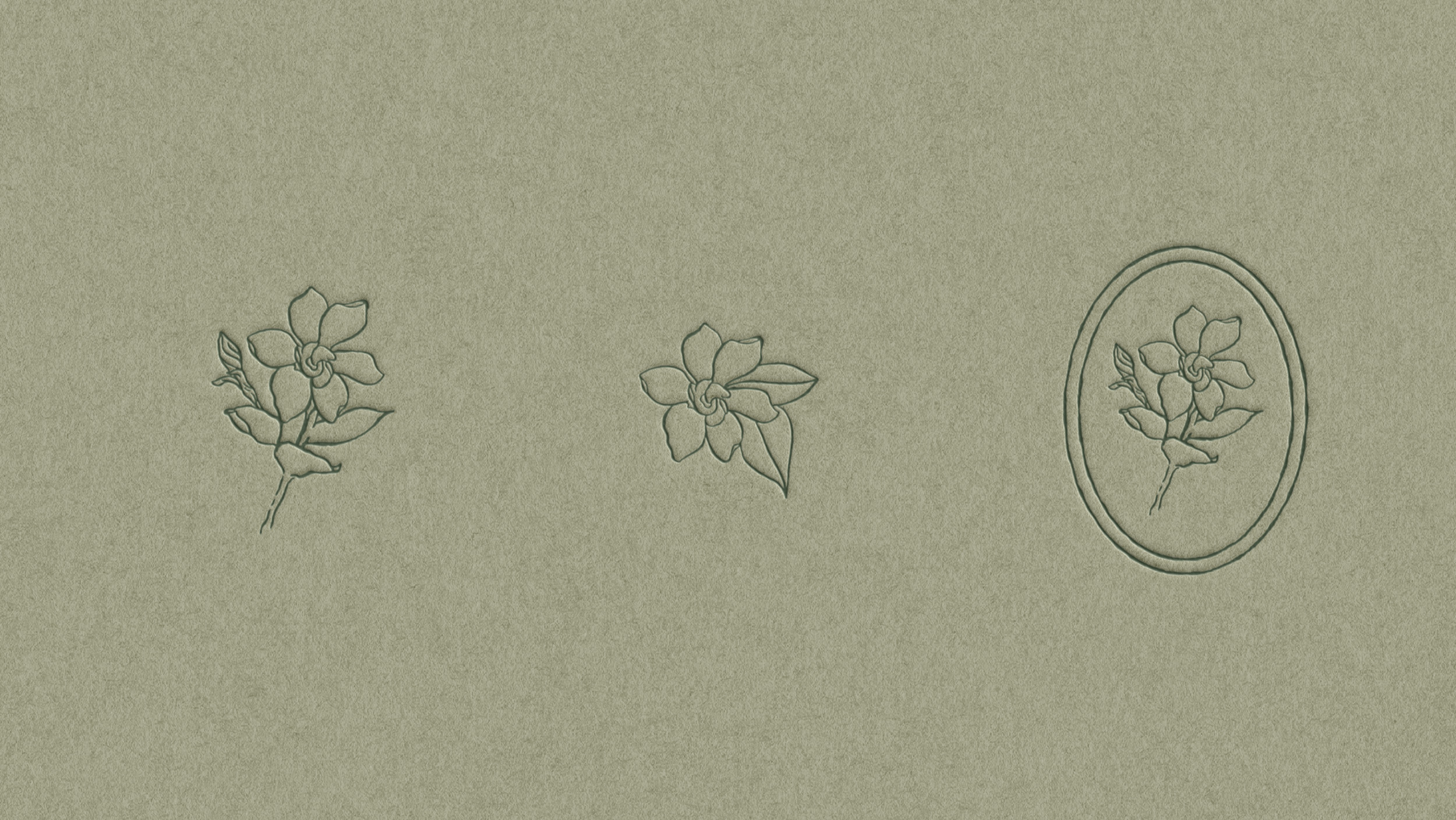 Branding for Interior Designer Ashley Wells Design